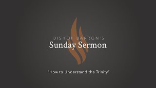 How To Understand the Trinity — Bishop Barron’s Sunday Sermon [upl. by Ainigriv]