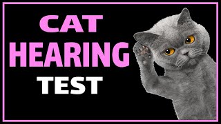 Cat Hearing Test  Test Your Cats Ears [upl. by Eidnak]