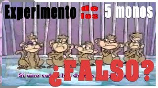 EL ¿FALSO EXPERIMENTO DE LOS 5 MONOS  por Psicovlog [upl. by Stilwell]