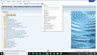 Configurações básicas SAP [upl. by Pardner136]