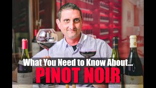 Everything You Need to Know About Pinot Noir [upl. by Pesek]