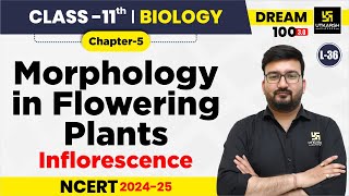 Class 11 Biology Chapter 5  Morphology in Flowering Plants  Inflorescence  L36  Shubham Sir [upl. by Ciryl]