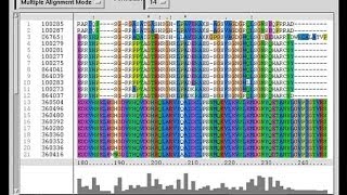 Bioinformatics part 4 Introduction to FASTA and BLAST [upl. by Klepac]