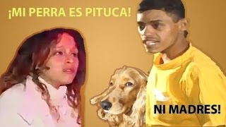 Mi perra es pituca vs quotEl ni mergasquot ¡Duelo Autotune [upl. by Kelcey732]