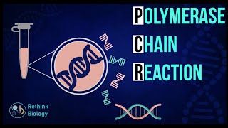 PCR  POLYMERASE CHAIN REACTION [upl. by Markiv]