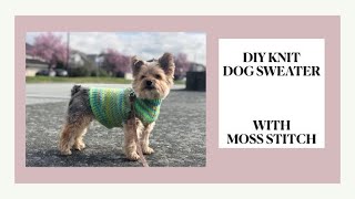 THE FIRST PROJECT OF YEAR 2021 DIY KNIT DOG SWEATER WITH DOUBLE MOSS STITCH [upl. by Sined]