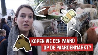 Gaan we iets kopen op de paardenmarkt  Vlog166 [upl. by Hooge406]