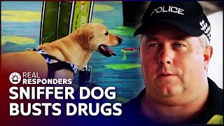 Sniffer Dog Cracks Down On Drug Smuggling  Territory Cops  Real Responders [upl. by Curson]