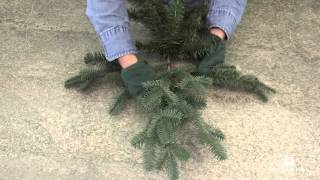 How To Properly Shape an Artificial Christmas Tree Branch [upl. by Sumahs]