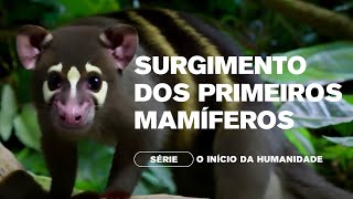 Surgimento dos Primeiros Mamíferos  Episódio 4 da Série O Inicio da Humanidade [upl. by Charlet353]