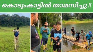 Forest In Kerala  Tiger Park Thekkady [upl. by Ronn]