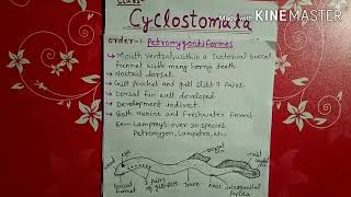 Class cyclostomata explained in Hindi [upl. by Hsara]