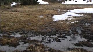 Randonnées dans les Pyrénées  Documentaire nature [upl. by Drus]