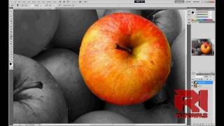 How to Create Color Splash Effect  Adobe Photoshop cs5 [upl. by Ronacin]