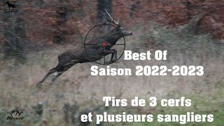 Chasse Cerfs Sangliers Chevreuils  Best Of 20222023 [upl. by Huai]