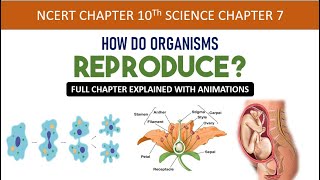 How do organisms reproduce Animation  Class 10 Science Chapter 7 NCERT CBSE Full chapter [upl. by Sylvanus]