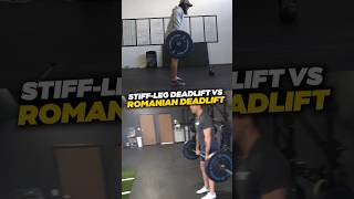 Romanian Deadlift VS StiffLeg Deadlift  Key Differences [upl. by Erdrich262]