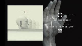 ANIMALS AS LEADERS  Backpfeifengesicht [upl. by Dee]