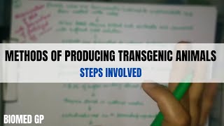 Methods of producing transgenic animals [upl. by Hux]