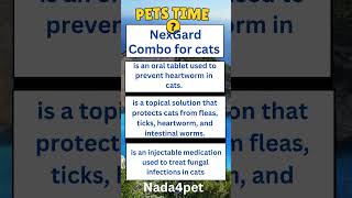 nexgard combo for cats [upl. by Teddie87]