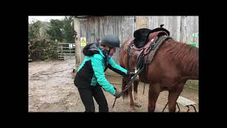 How to mount a western saddle without it slipping [upl. by Jevon]