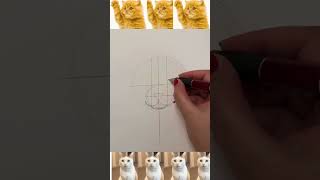 Katze zeichnen für Anfänger 🐱  zeichnen lernen shorts skizzieren tutorial zeichnen [upl. by Sined417]