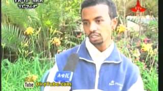 Interview with Artist Sertse Feresebehat  Ethiopian Idol Judge [upl. by Ahsenat675]