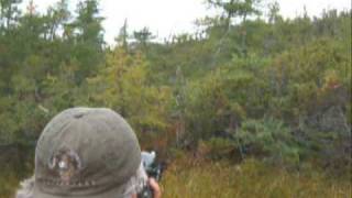 Awesome Newfoundland Moose Hunt [upl. by Far64]