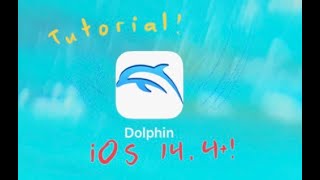 Dolphin Wii Emulator on iOS Tutorial [upl. by Hnib]