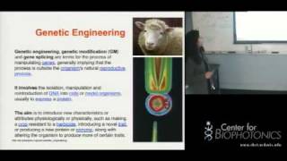 Basic Molecular Biology [upl. by Ellehcen453]