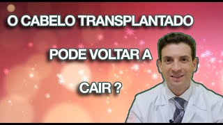 O CABELO TRANSPLANTADO  PODE VOLTAR A CAIR [upl. by Tattan]