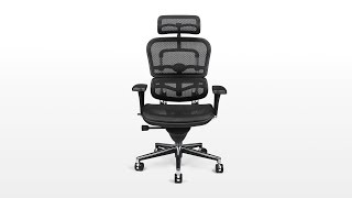 Ergohuman Chair Review  Raynor Ergohuman Review with Ergonomics Focus [upl. by Ytsirk]