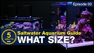 The secret to selecting the right size and shape for your first saltwater aquarium Choose wisely [upl. by Birkle]