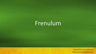 Pronunciation of the words quotFrenulumquot [upl. by Leonsis]