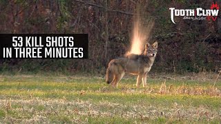 53 Kill Shots In 3 Minutes  Coyote Hunting [upl. by Hermosa]