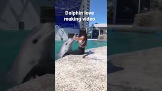 Dolphin love making video [upl. by Nurav]