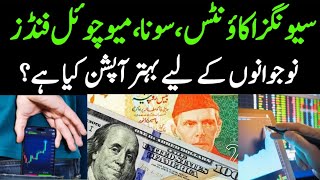 Best Investment Options For 2024 In Pakistan I Gold I Dollar I Mutual Funds I PakistanandWorldTv [upl. by Wickman]