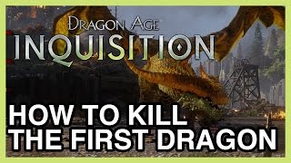 How to Kill The First Dragon of Dragon Age Inquisition  The Fereldan Frostback [upl. by Ateiram]