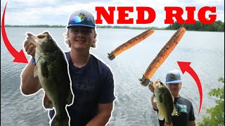 Here’s why the NED RIG is 1  Master fishing a Ned Rig [upl. by Vernita]