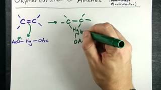 Alkene to Alcohol Oxymercuration Mechanism [upl. by Rma]