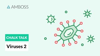 Viruses  Part 2 DNA vs RNA Viruses [upl. by Adnauqahs548]