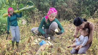 Harvesting bamboo shoots taking care of sick baby of 17yearold single mother [upl. by Bogie]