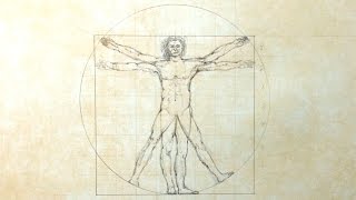 Vitruvian Man  Speed Drawing [upl. by Enohsal]