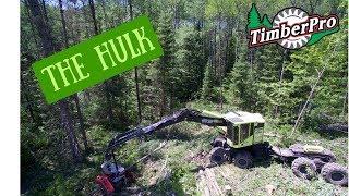 TimberPro TF830C Combo HarvesterForwarder The Hulk [upl. by Giesser658]