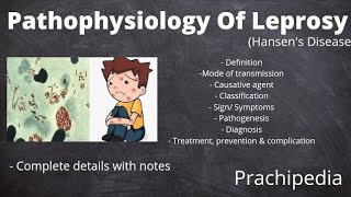 Pathophysiology of Leprosy [upl. by Zelten]