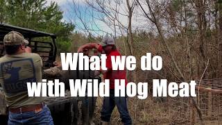 What we do with Wild Hog Meat [upl. by Ettenim684]