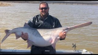 FISH4FUN SPOONBILL SNAGGING ON TRUMAN LAKE [upl. by Christenson679]