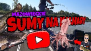 Sumy na kalmary  innowacyjna przynęta vlog32 Panoptix LVS32 [upl. by Reger]