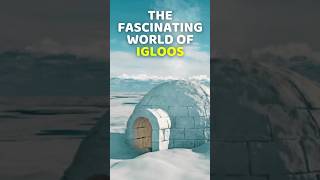 Igloos Uncovered Snow Castle Discoveries [upl. by Kennith742]