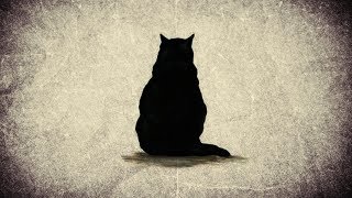 LE CHAT NOIR  Edgar Allan Poe livre audio [upl. by Estella]